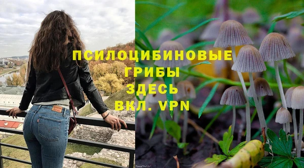 бутират Алексеевка