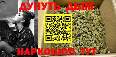 гидра Беслан