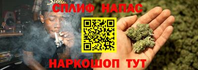 гидра Беслан