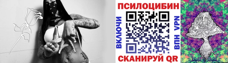 OMG сайт  Белебей  Галлюциногенные грибы Psilocybine cubensis  купить наркотик 
